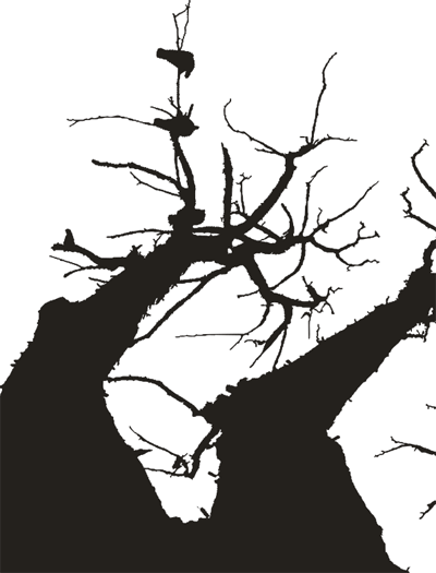 Рисунки и иллюстрации