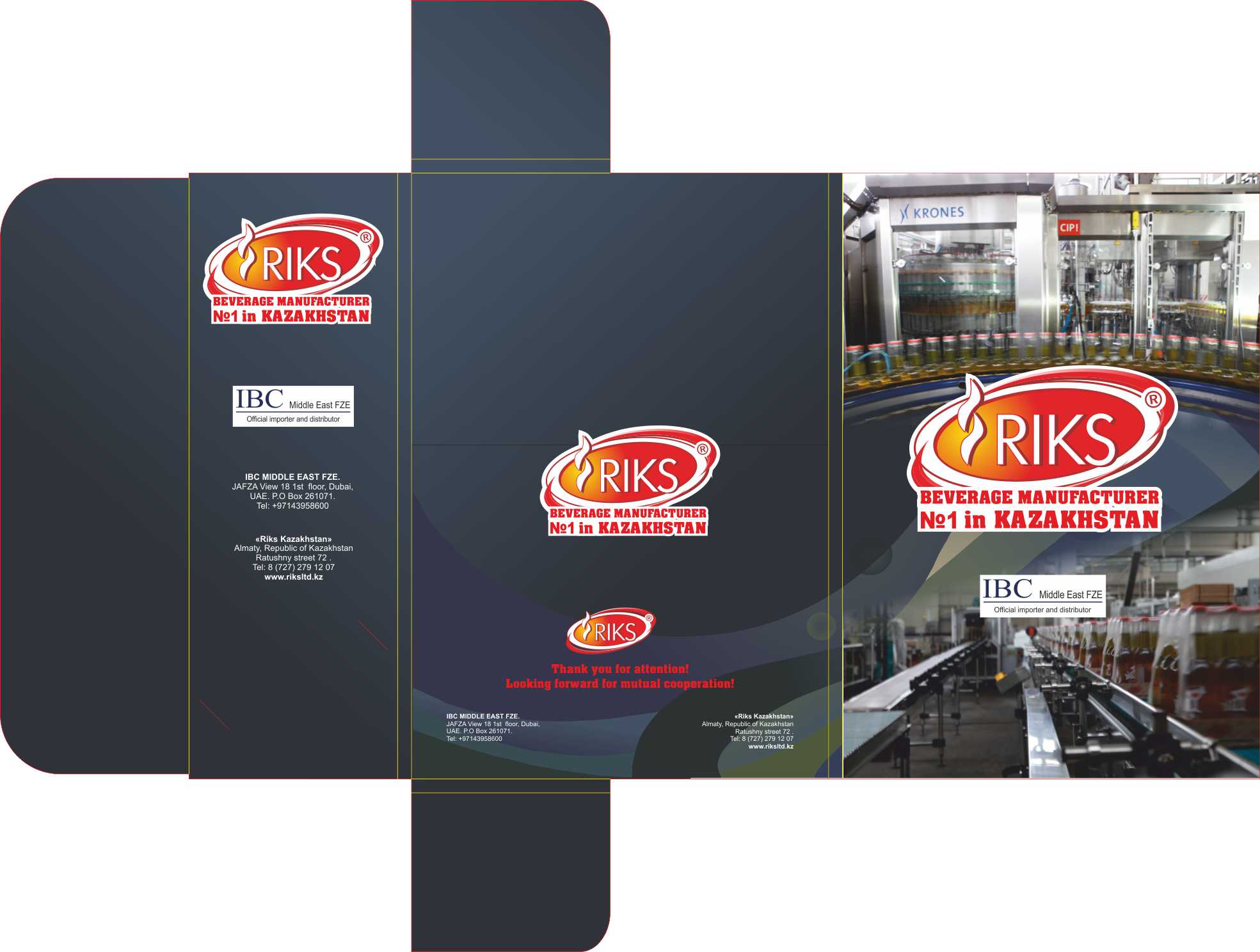 Папка для компании "Dizzy"