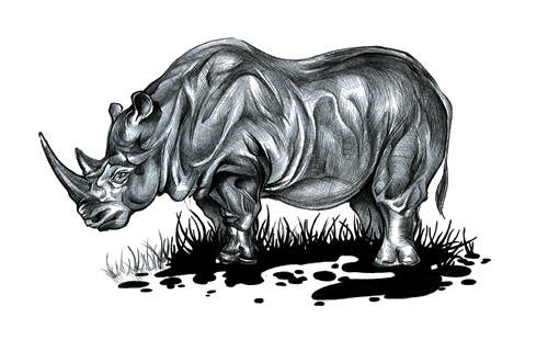 rhinoceros