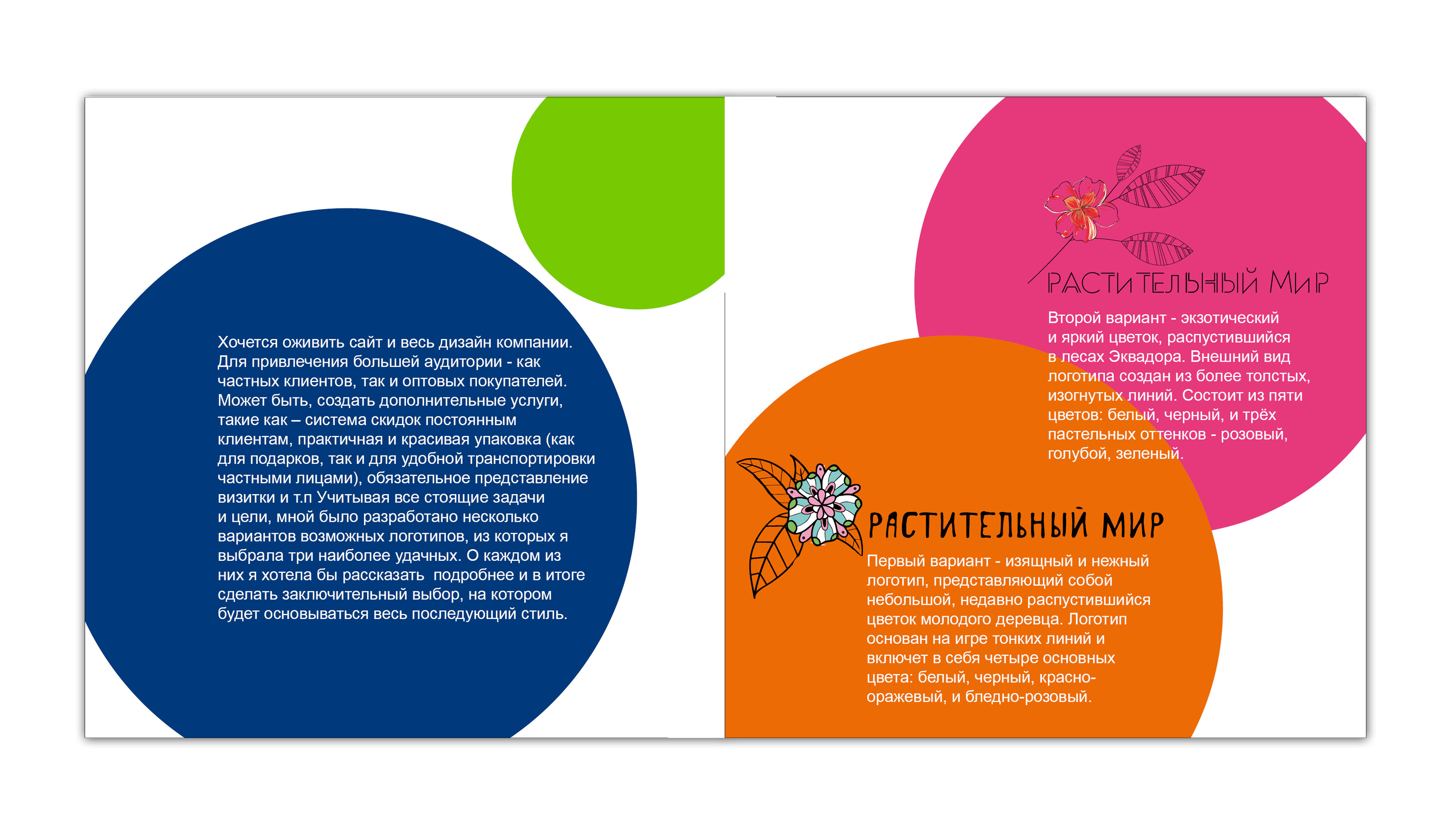 исследованиебрендбук для фирмы "Растительный мир"