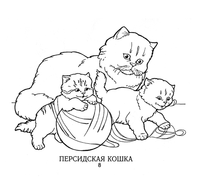 Раскраска "Кошки"