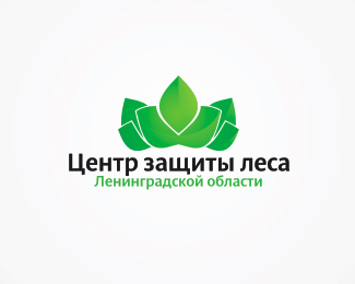 Логотип «CSW»