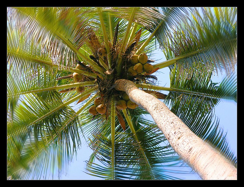 Мечта туриста