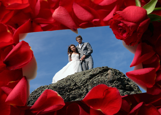 Свадебные открытки