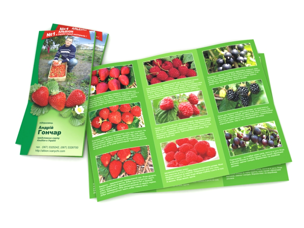 Буклет представителя ТМ Альбион