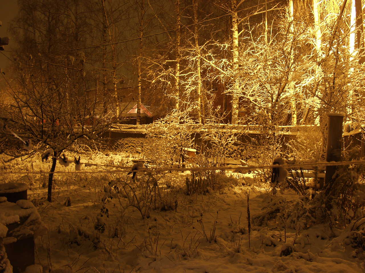 ВОт и снег пришел