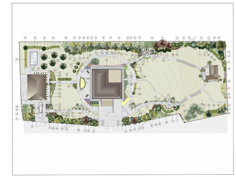 Дендроплан, Юкки