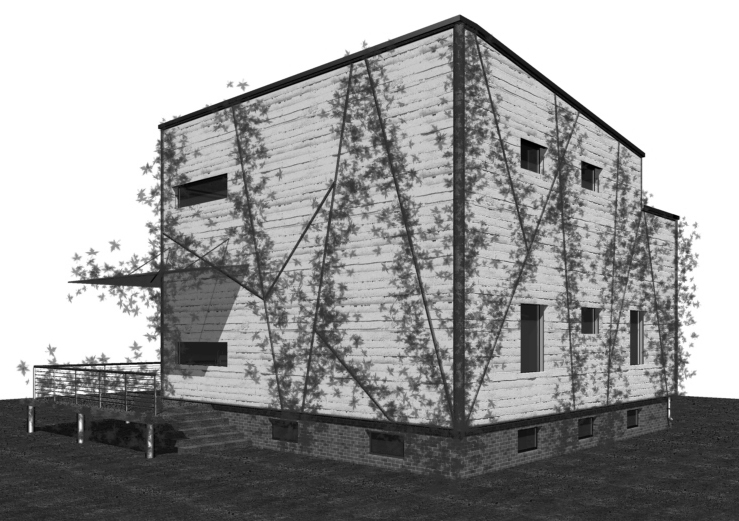 частный жилой дом "функционализм"