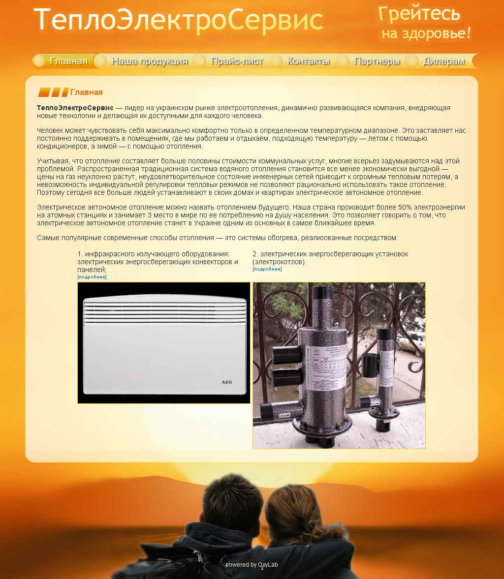 ТеплоЭлектроСервис