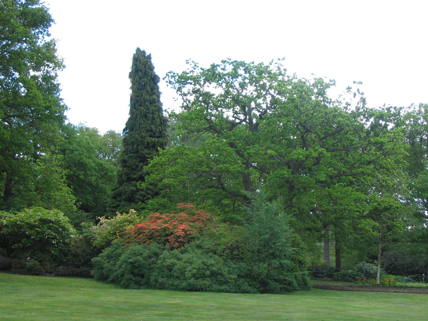 Ландшафтный дизайн