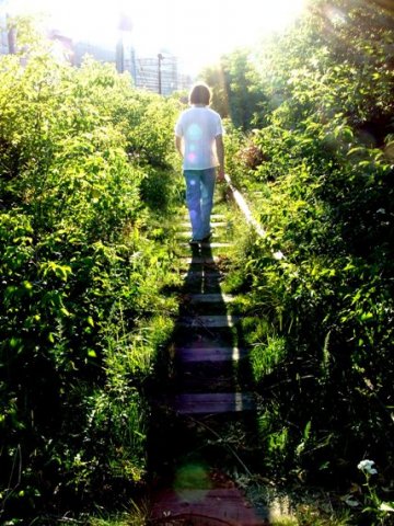 Идущий к свету