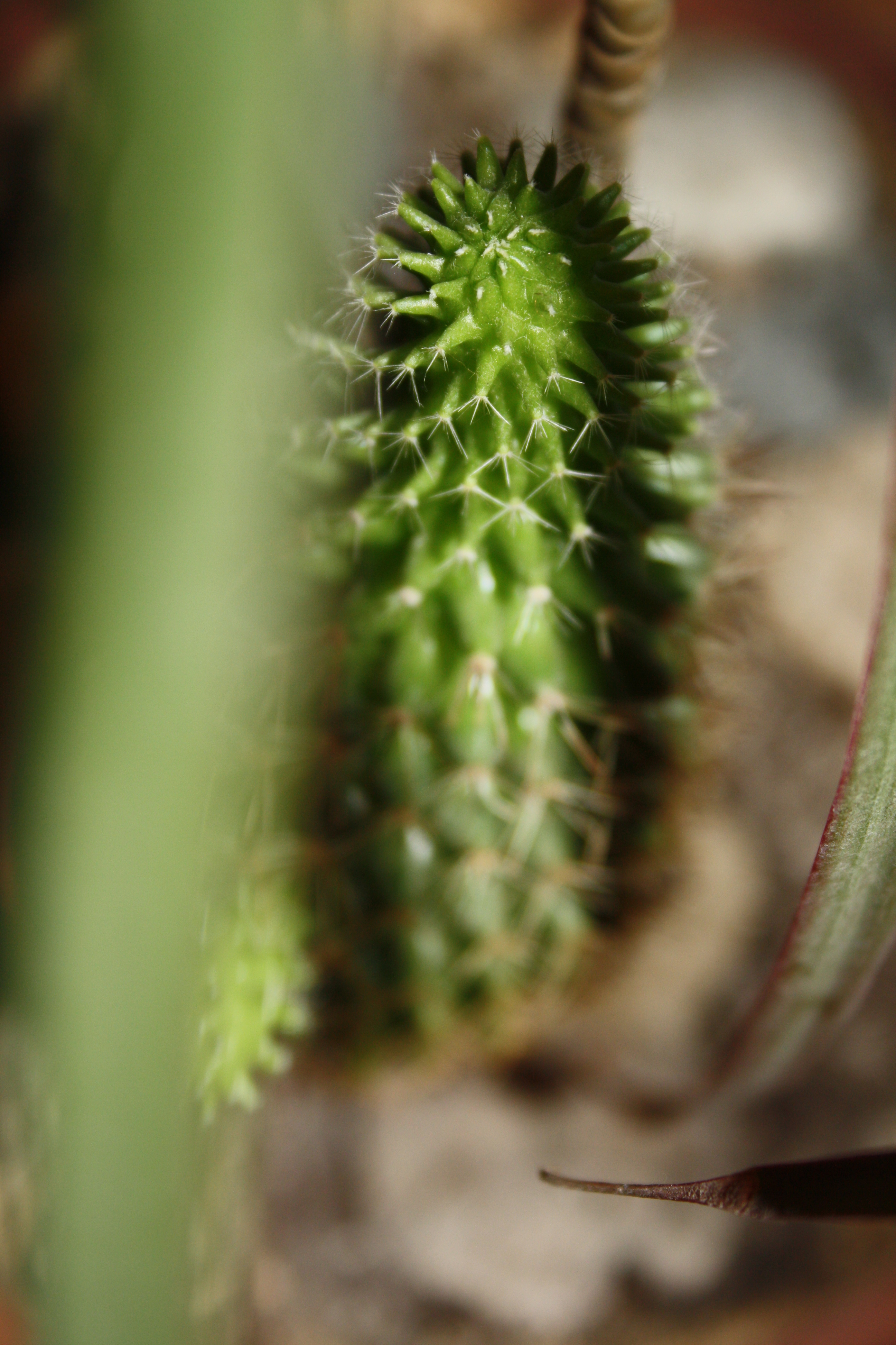 фотография.