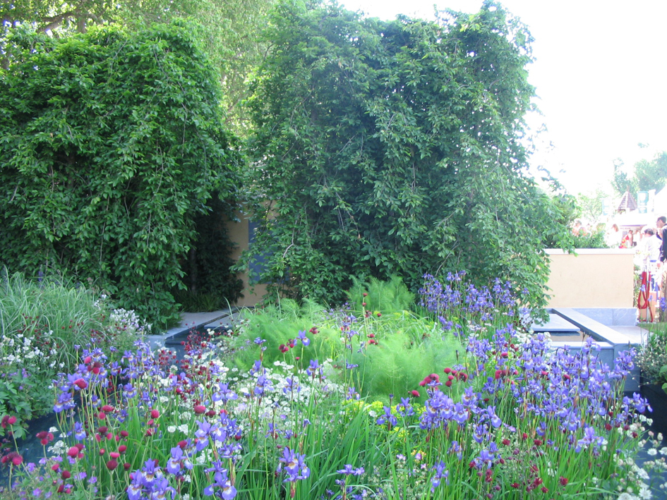 Ландшафтный дизайн