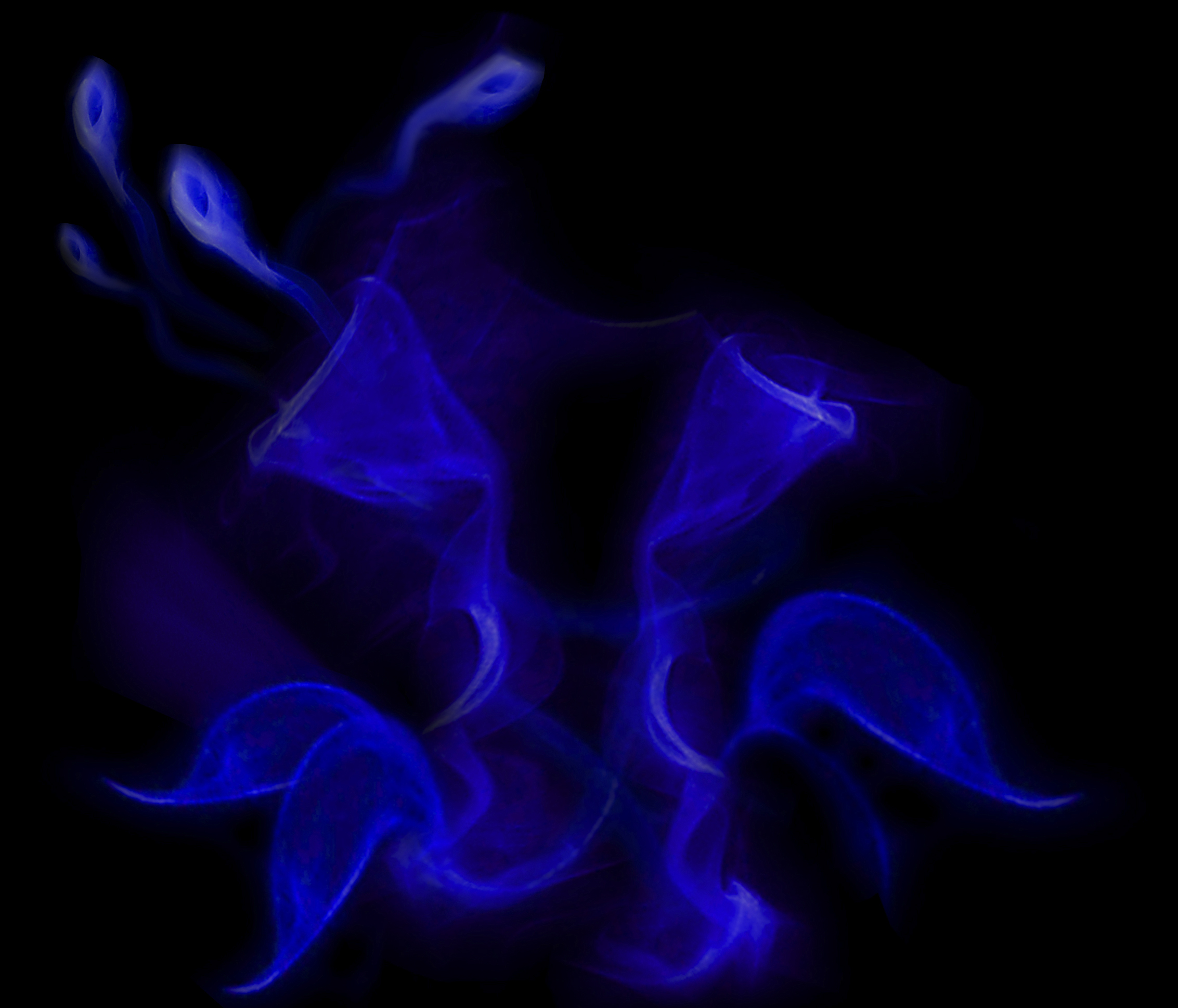 фотомонтаж(обработка дыма)