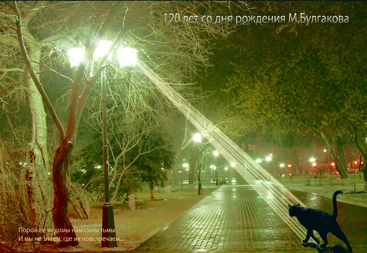 "Силы тьмы" (ночь,улца,котяра)