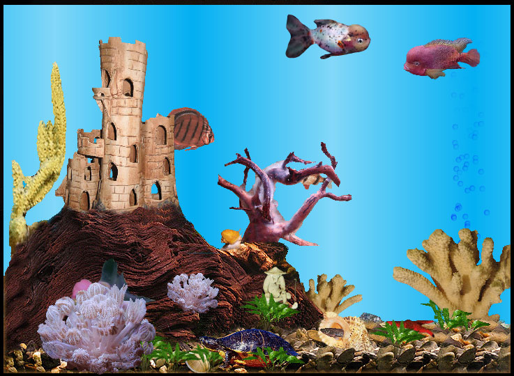 Flash аквариум