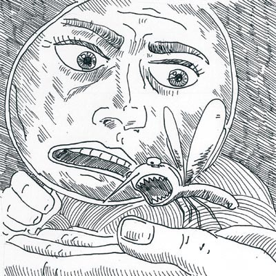 рис