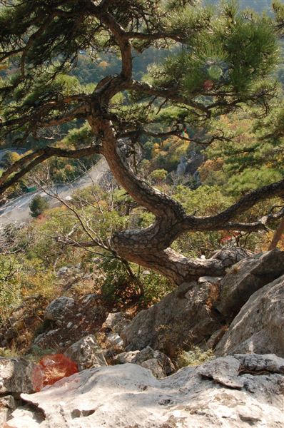 Земля зовет вниз...