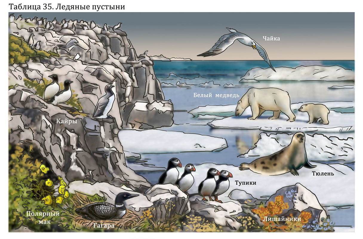 Иллюстрация №35