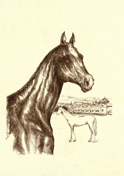 Иллюстрации  буклет "Монолит"