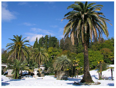 Незабываемый отдых в Сочи и отдых в Анапе.