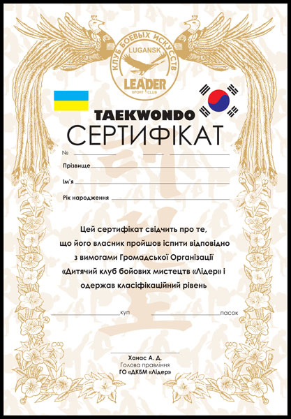 сертификат детского клуба единоборств "ЛИДЕР"