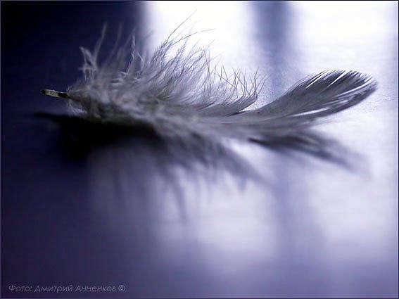 В ожидании ветра...