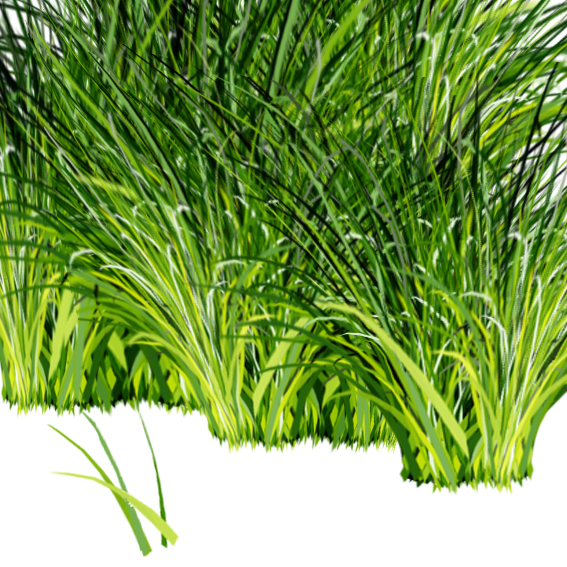 Трава.Фотошоп