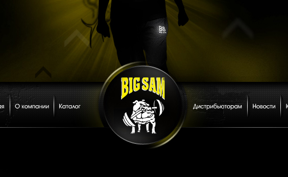 флеш заставка/меню к сайту BigSam