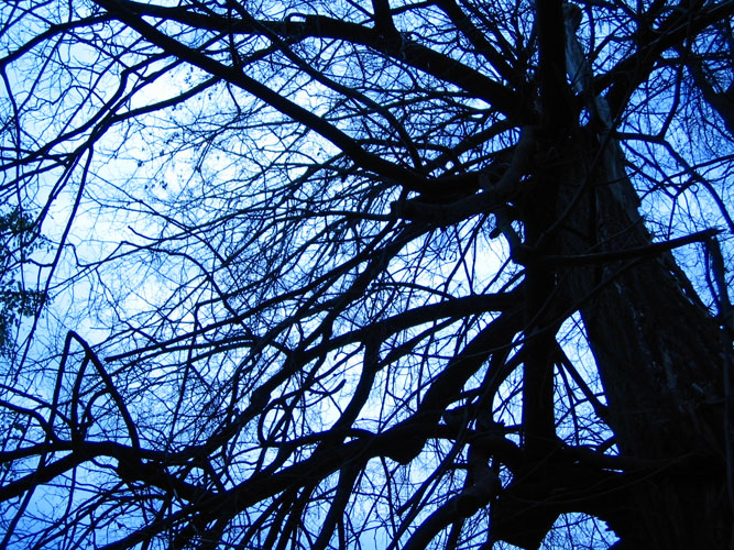 синее-синее небо