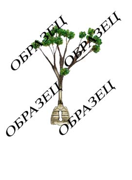 Прикреплённый файл