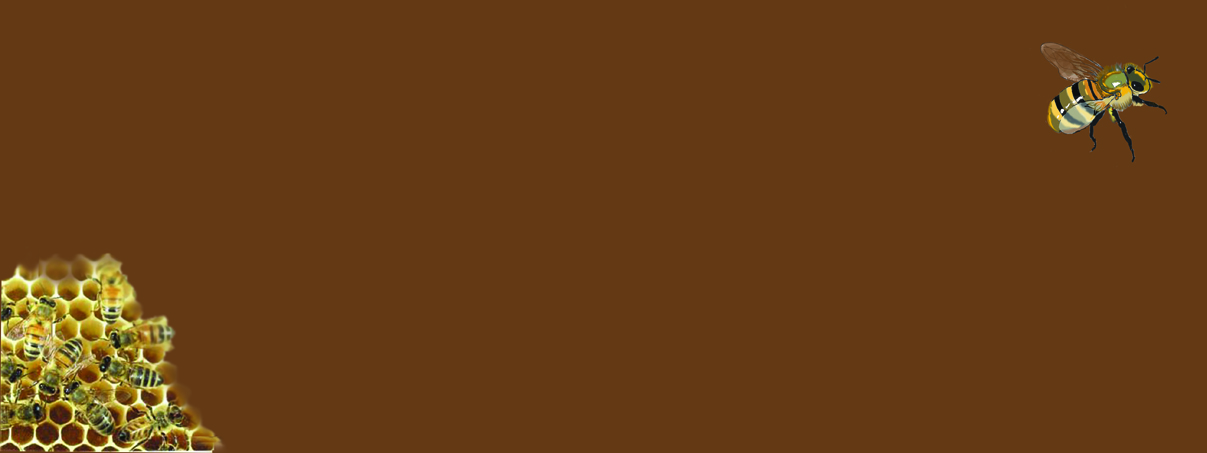 «Якщо ви маєте бджіл»