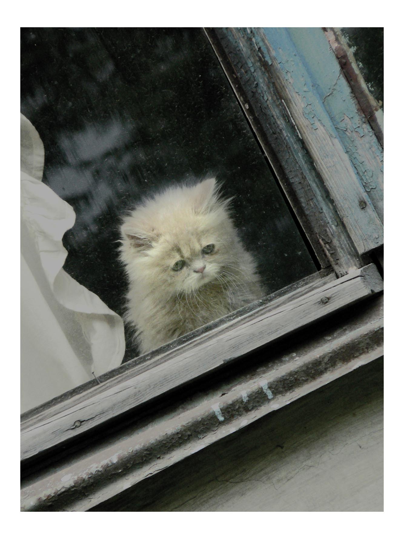 " Один дома "