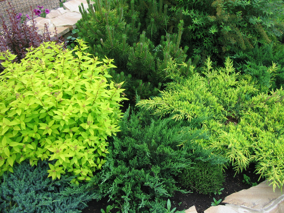 Ландшафтный дизайн