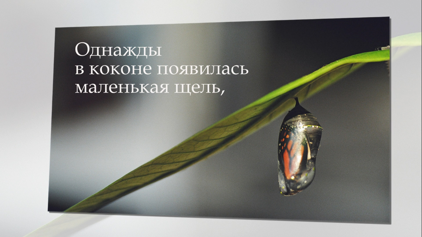 Презентация (слайдшоу) из фотографий