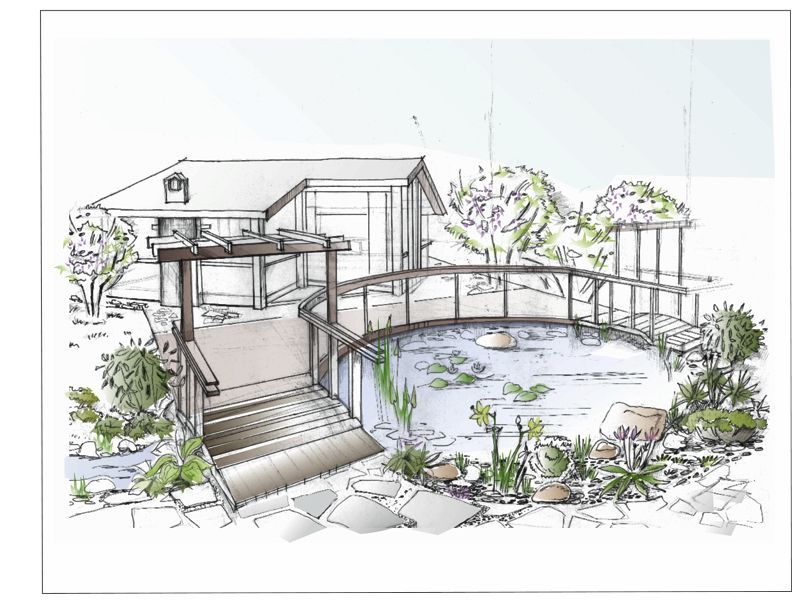 Видовой кадр