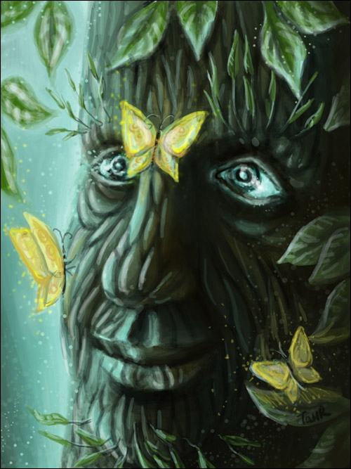 волшебное дерево