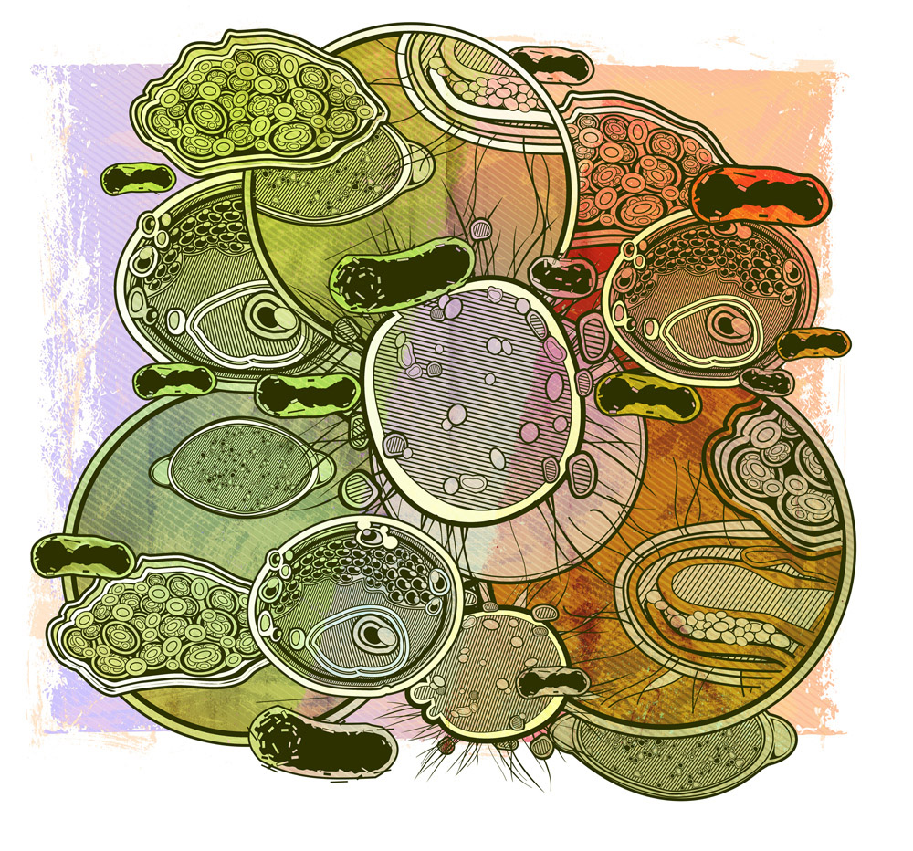 "Микробиология" иллюстрации для Maxim