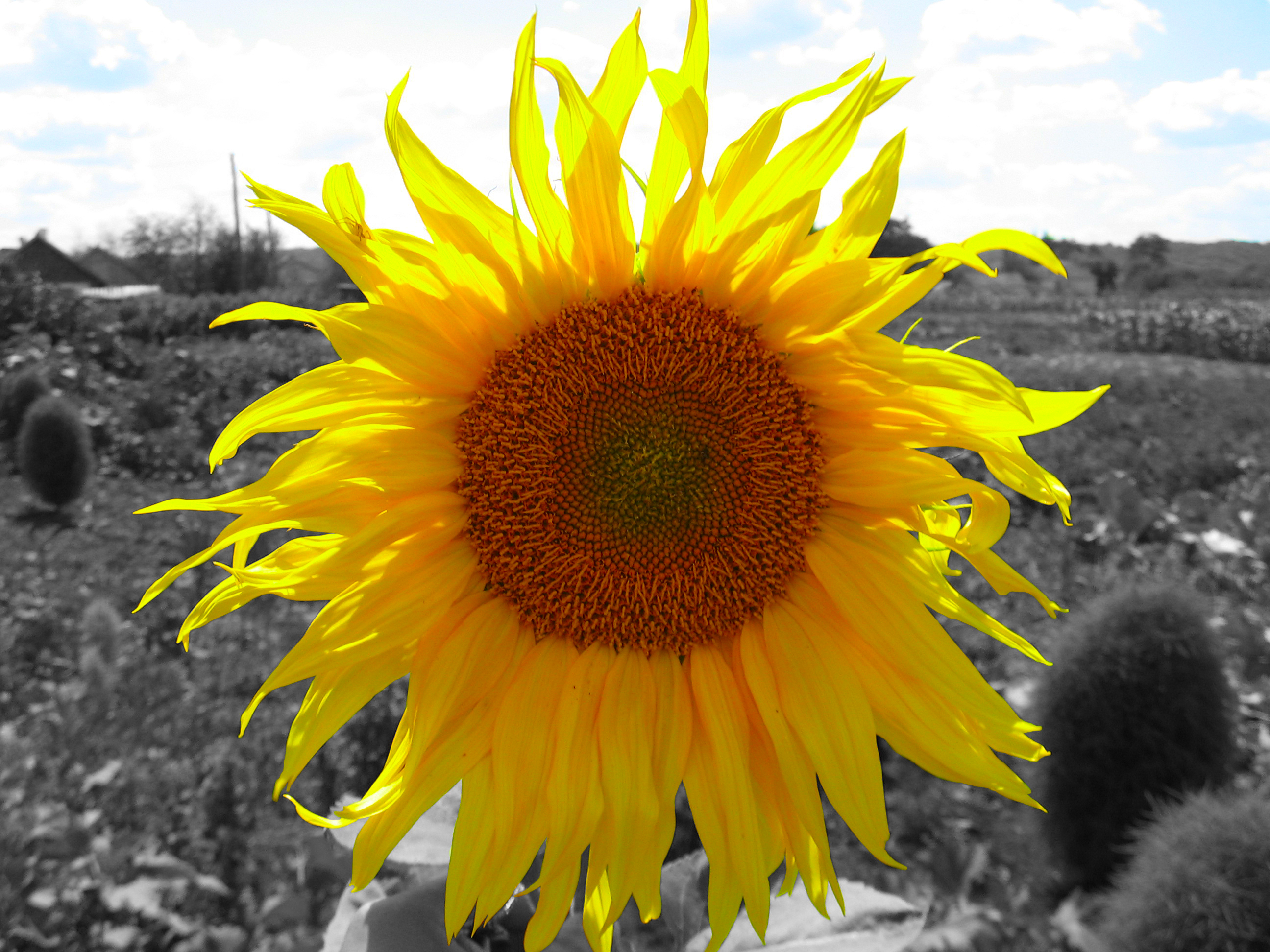 обраотка фото