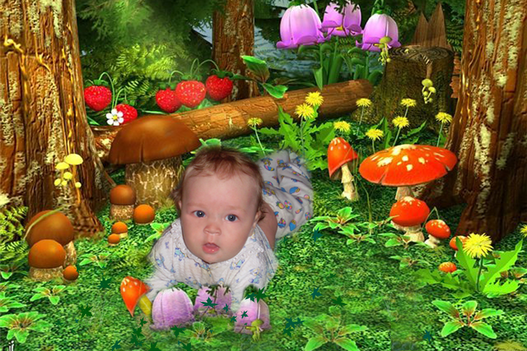 фотоколлаж