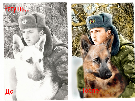 Верные друзья