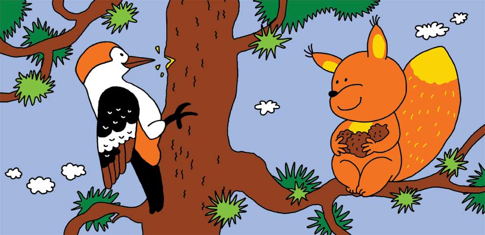 дятел и белка