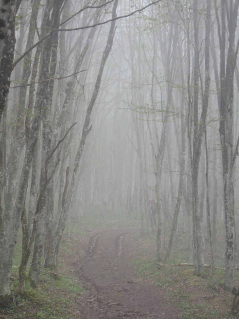 туманность