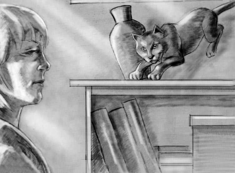 раскадровка к ролику