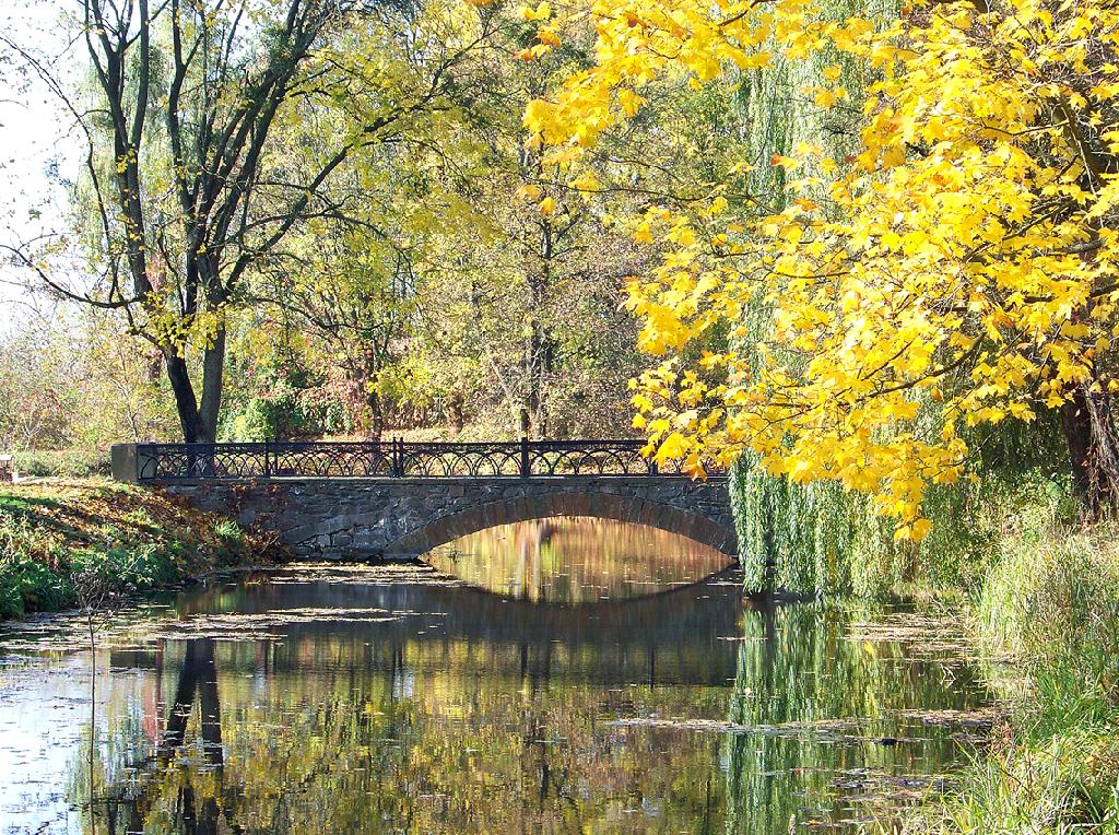 Дендропарк "Олександрія" - Арочний місток