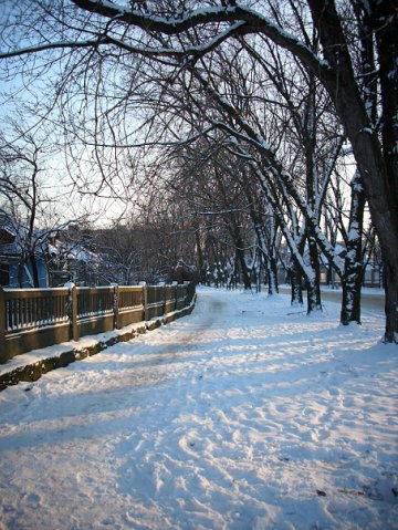 Зимняя реальность