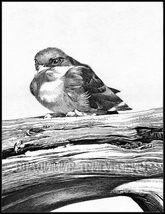 Тёплый денёк после долгих холодов