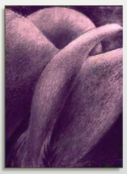 "Лиловая птица любви"