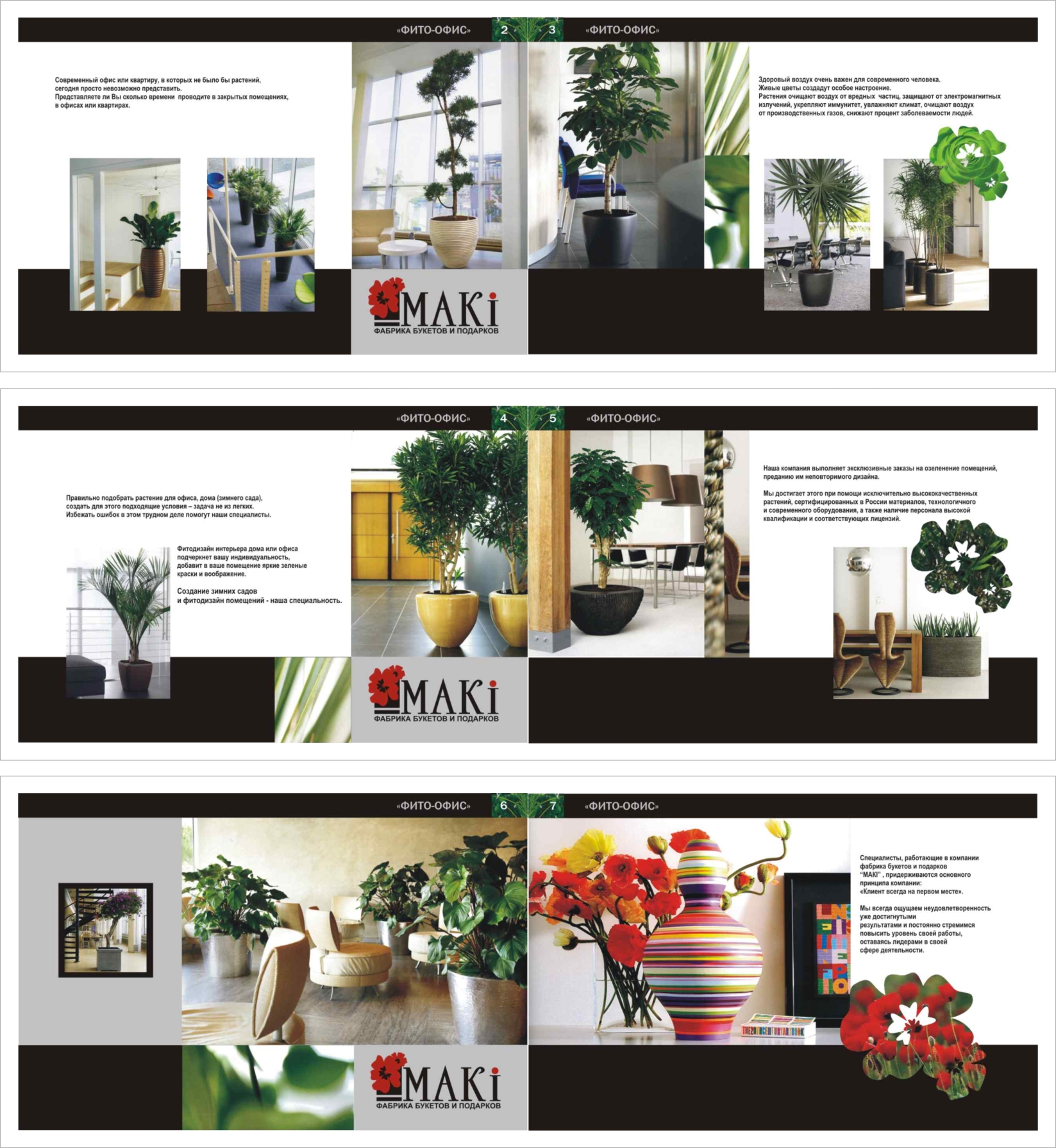 Дизайн буклета "Маки"
