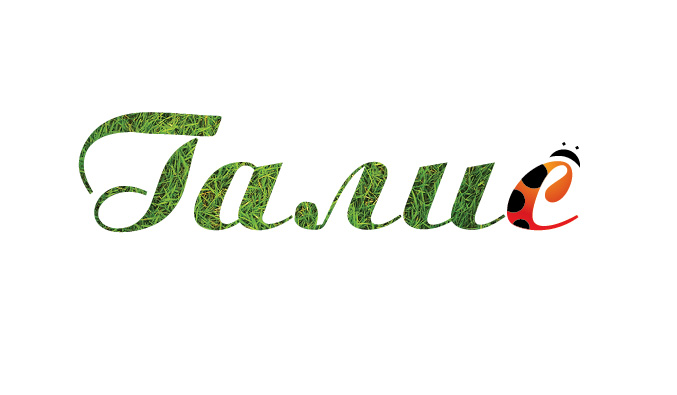 "Галис" 2 вариант